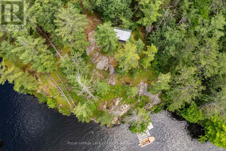 998 Gull Lake