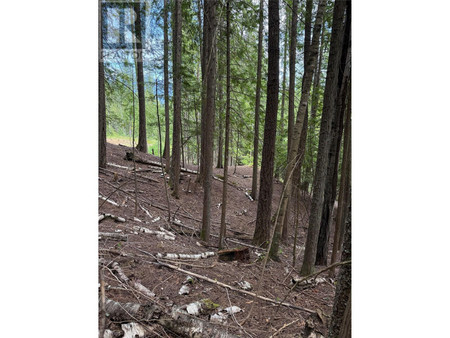 B Avenue Lot 16 17 18