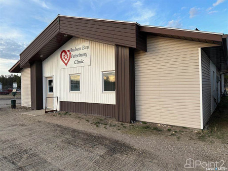 Hudson Bay Veterinary Clinic, Hudson Bay, SK S0E0Y0 Photo 1