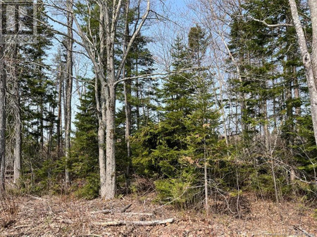 Lot 02 Beaverbrook Road, Miramichi, NB E1V0H9 Photo 1