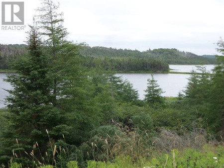 Lot 1 Junction Pond Unit Lot 1, Whitbourne, NL A0B3K0 Photo 1