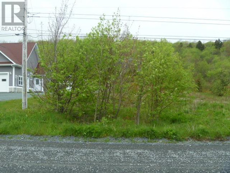 Lot 1 Lemarchant Street, Carbonear, NL A1Y1A9 Photo 1