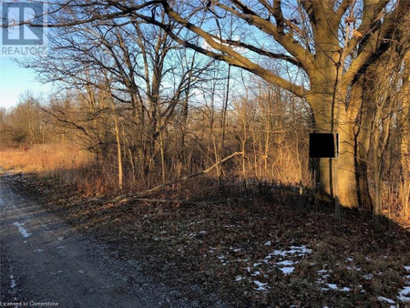 Lot 11 Hald Dunn Townline Road