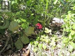 Lot 11 Wapiti River Sw 21 69 10 W 6