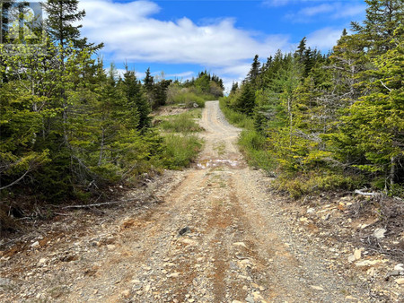 Lot 22 Second Pond, Shearstown, NL A0A3V0 Photo 1