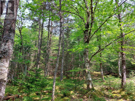 Lot 23 Ij Diana Mountain Rd, The Points West Bay, NS B0E3K0 Photo 1