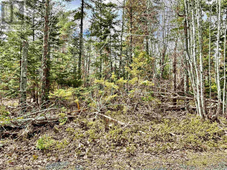 Lot 3 Forest Close Forest County Ponhook Lake Area, Labelle, NS B0T1E0 Photo 1