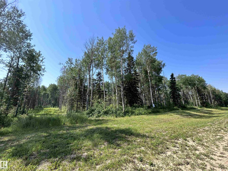 Lot 3 Forest Road Rr 214, Rural Athabasca County, AB T9S1C4 Photo 1