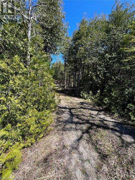 Lot 32 Con 3 Highway 6, South Bruce Peninsula, ON N0H2T0 Photo 1