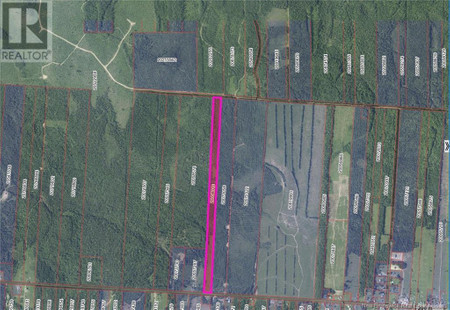Lot 355 Route