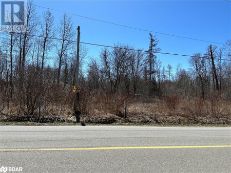 Lot 37 Belle Aire Beach Road, Innisfil, ON L9S0J9 Photo 1