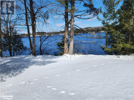 Lot 4 Butterfly Lake Road, Port Carling, ON P0B1J0 Photo 1