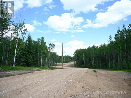 Lot 4 Range Rd 224, Athabasca, AB T9S2A6 Photo 1