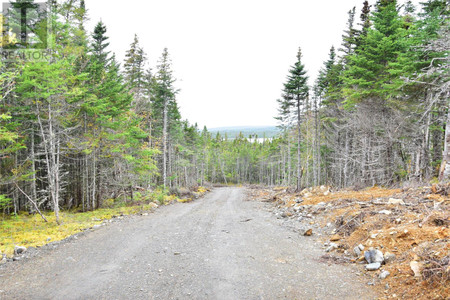 Lot 5 Second Pond Road, Shearstown Buttlerville, NL A0A1G0 Photo 1