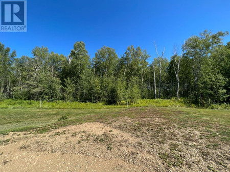 Lot 7 654036 Range Road 222, Rural Athabasca County, AB T9S2A5 Photo 1
