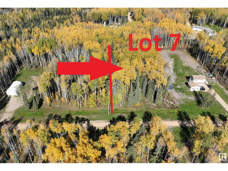 Lot 7 Forest Road Rr 214, Rural Athabasca County, AB T9S1C4 Photo 1