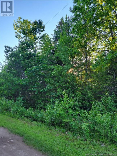 Lot 79 18 Morton Lane, Cumberland Bay, NB E4A3J3 Photo 1