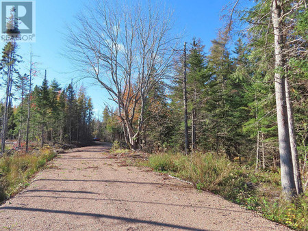 Lot 8 4 Highway Lower River Road Road, Cleveland, NS B0E1J0 Photo 1