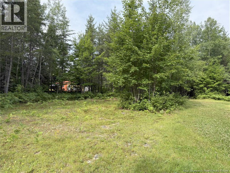 Lot 86 1 South Tomogonops Cluster