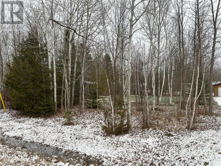 Pt 7 Part Lot 23 Maple Drive, Northern Bruce Peninsula, ON N0H1Z0 Photo 1