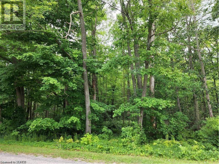 Pt Lot 20 7 Concession Road, Simcoe, ON N3Y4K1 Photo 1